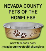 Nevada County Pets Of The Homeless